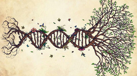 Timeline: Calidad de Vida