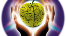 Timeline: DESARROLLO DE LA BIOÉTICA