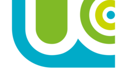 Timeline: Calidad de vida y bienestar Jessica Velasquez