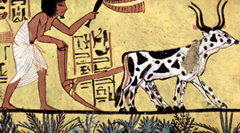 Timeline: The First Civilization