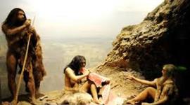 Timeline: Bryan's and tony's timeline