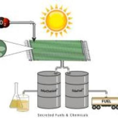 Timeline: Fuentes de Energía Alternativa