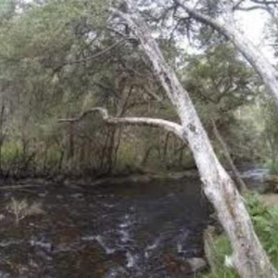 Timeline: Big River Human History