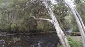 Timeline: Big River Human History