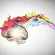 Cerebro con colores