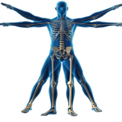 Timeline: HISTORIA DE LA ANTROPOMETRIA