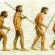 Evolucion