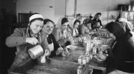 Timeline: la economía en los años 50