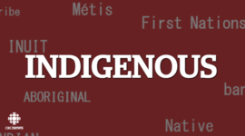 Timeline: Indigenous Timeline