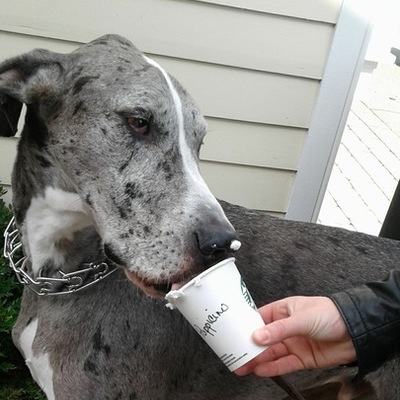 Timeline: PBL Badge: Essay Time Management