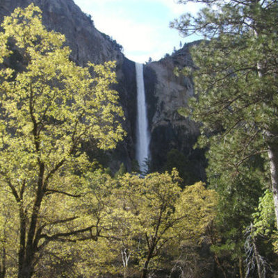 Timeline: Fall Semester 2010