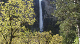 Timeline: Fall Semester 2010