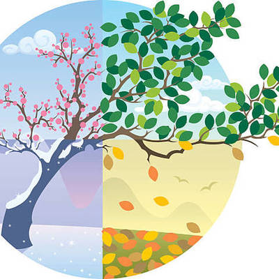 Timeline: Changing of the Seasons