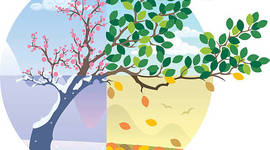 Timeline: Changing of the Seasons
