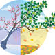 Changing seasons clipart 9