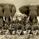 8 civil war elephants