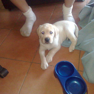 Timeline: POST-WAR TECHNOLOGICAL CHANGES