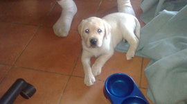 Timeline: POST-WAR TECHNOLOGICAL CHANGES