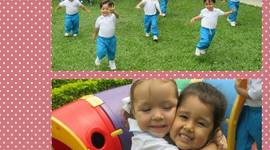 Timeline: El comienzo de mi sueño