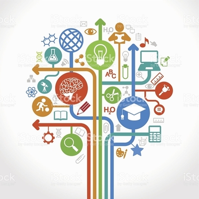 Timeline: Plan De Vida Bernardo Nava