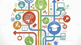 Timeline: Plan De Vida Bernardo Nava