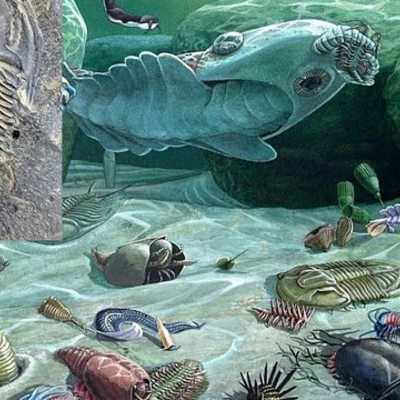 Timeline: Hunter Falash-Geologic Timeline