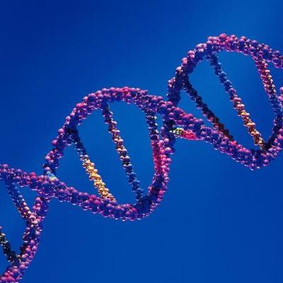 Timeline: Historia de la Genética