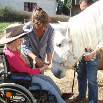 Timeline: linea del tiempo de hospitales