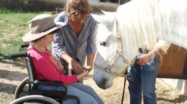 Timeline: linea del tiempo de hospitales