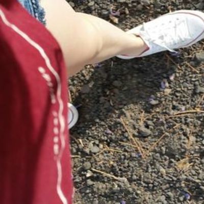 Timeline: Plan de vida