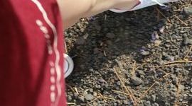 Timeline: Plan de vida