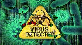 Timeline: las plantas