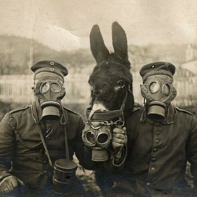 Timeline: Primeira Grande Guerra