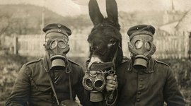 Timeline: Primeira Grande Guerra