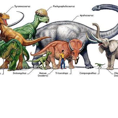 Timeline: All About Dinosaurs: The Palaeozoic Era