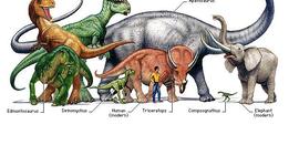 Timeline: All About Dinosaurs: The Palaeozoic Era