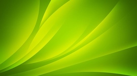 Timeline: Historia De La Genetica