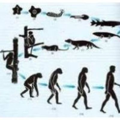 Timeline: EVOLUCIÓN DEL MÉTODO CIENTIFICO