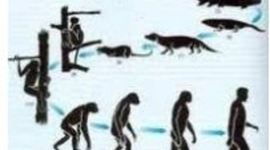 Timeline: EVOLUCIÓN DEL MÉTODO CIENTIFICO