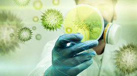 Timeline: La genética atraves del tiempo