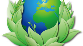 Timeline: The Environmental Movement