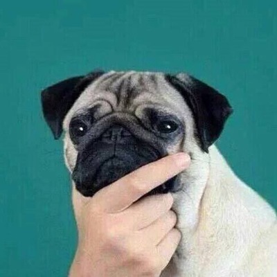 Timeline: Épocas de mi vida