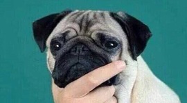 Timeline: Épocas de mi vida