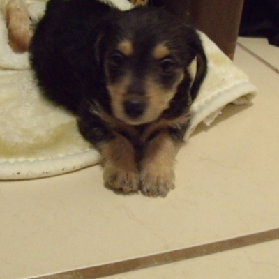 Timeline: Andrea Blanco Figueroa