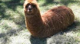 Timeline: My Life (And Before)