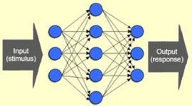 Timeline: Psicología Cognitiva