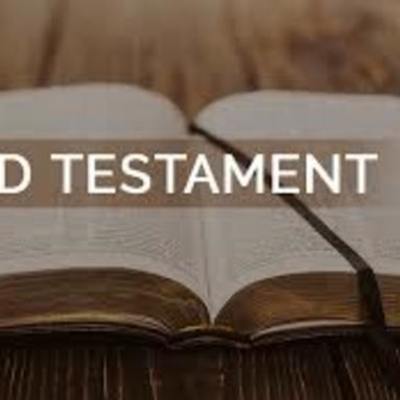 Timeline: OTS Timeline