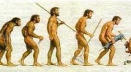 Timeline: Generaciones