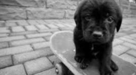 Timeline: Development in technology