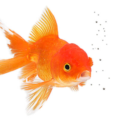 Timeline: Developments in technology